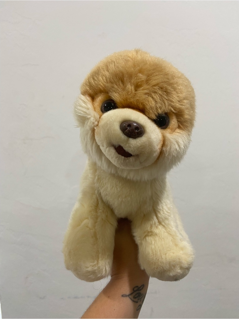 Gund Plush Dog Toy - Cream and Tan Fluffy Puppy